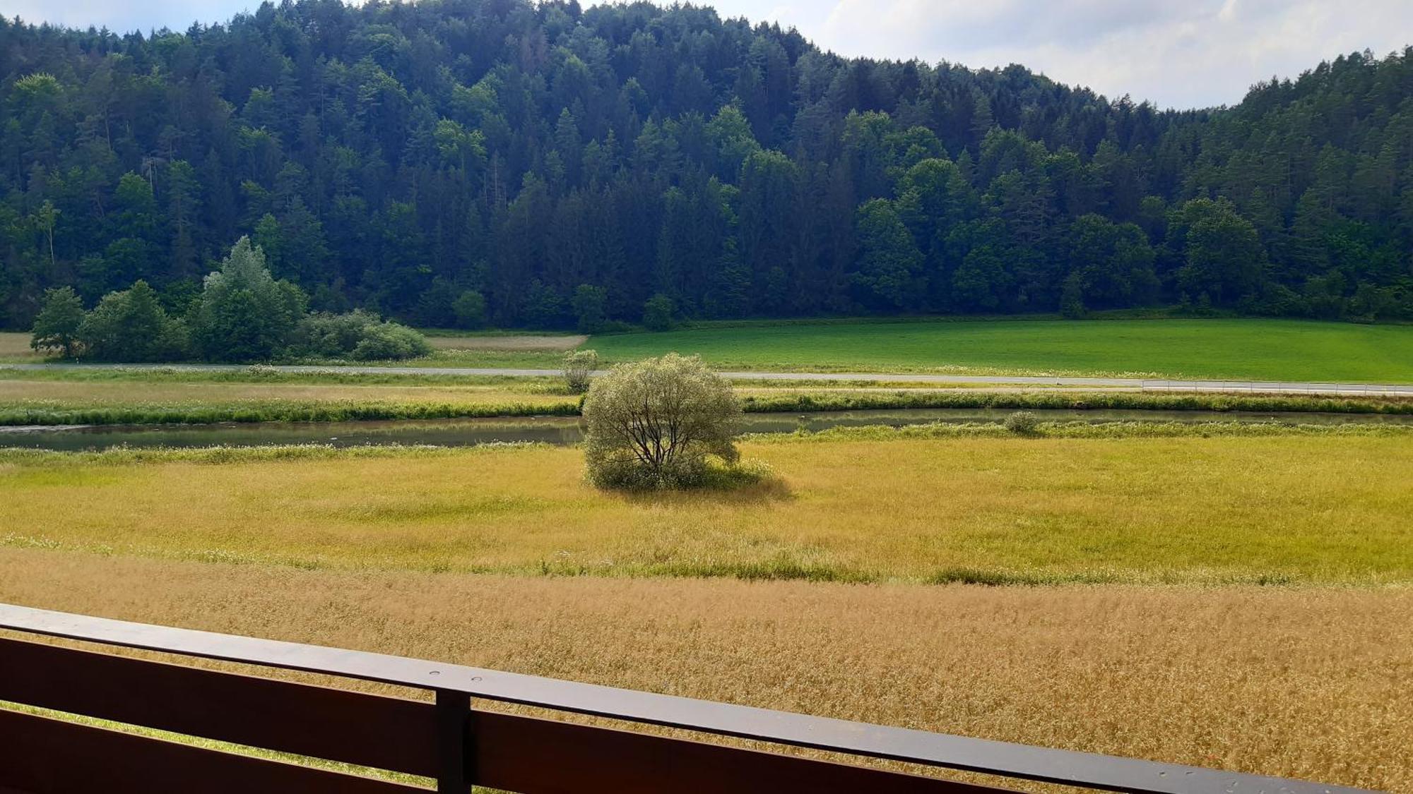 Waldpension Rabeneck Вайшенфелд Екстериор снимка