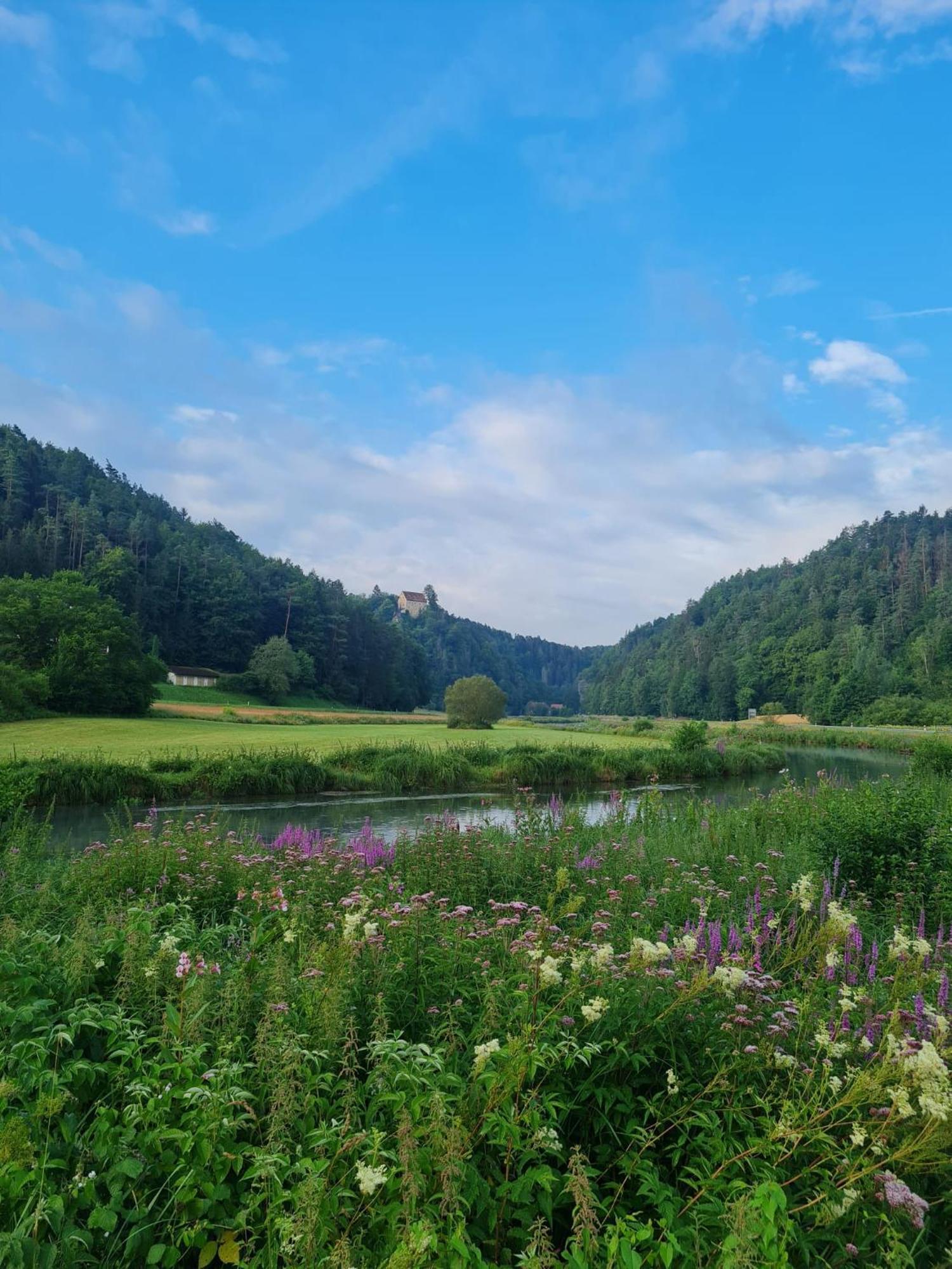 Waldpension Rabeneck Вайшенфелд Екстериор снимка